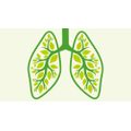 Lungenliga Bern / Ligue pulmonaire bernoise