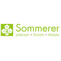 Sommerer & Co