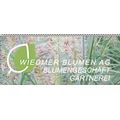 Wiedmer-Blumen AG