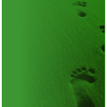 Gesundheitspraxis Fussreflexzonentherapie und Lymphdrainage Waeber