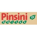 Pinsini Gärten GmbH