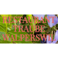 Traube