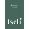 Blumen Iseli