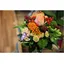blumenprinz GmbH