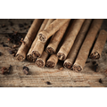 Cigar Academy Stefan Oberthaler