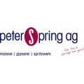 Peter Spring AG