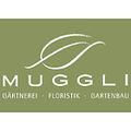Muggli AG