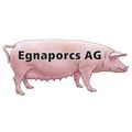 Egnaporcs AG