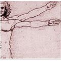Physiotherapie Franziska Peter