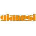 Gianesi AG
