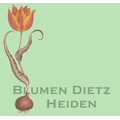 Dietz Robert AG