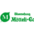 Bluemehuus Mötteli + Co