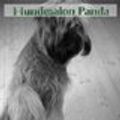 Hundesalon Panda