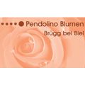 Pendolino Blumen GmbH