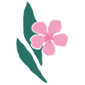 Florita Blumen und Accessoires Zumikon