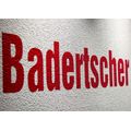Badertscher + Co AG