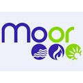 Moor Andreas