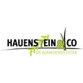 Hauenstein & Co