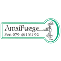 Amsi AG