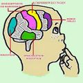 EEG-Neurofeedback Praxis