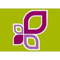 Coiffeur Schnittpunkt Irene