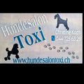 Hundesalon Toxi Horgen