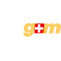 g+m elektronik ag