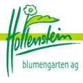 hollenstein blumengarten ag, Blumenshop, Gärtnerei, Gartenbau