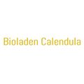 Calendula