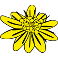 Naturarztpraxis Lyyb und Seel
