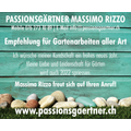 Passionsgärtner Massimo Rizzo