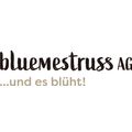 bluemestrussAG Wanninger