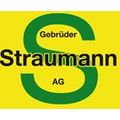 Gebrüder Straumann AG