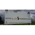 Mireille's Hundestudio