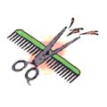 Coiffure Hair-Building