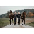LM HORSES GmbH