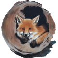 Mietmobil Fuchs