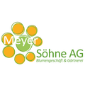 Meyer Söhne AG