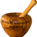 Praxis für Homöopathik Heidi Scholl