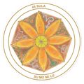Praxis SULA-SUN