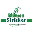 Blumen Stricker